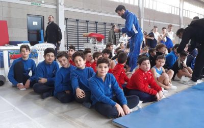 Campionato individuale SILVER presso il Palastoza di Cori